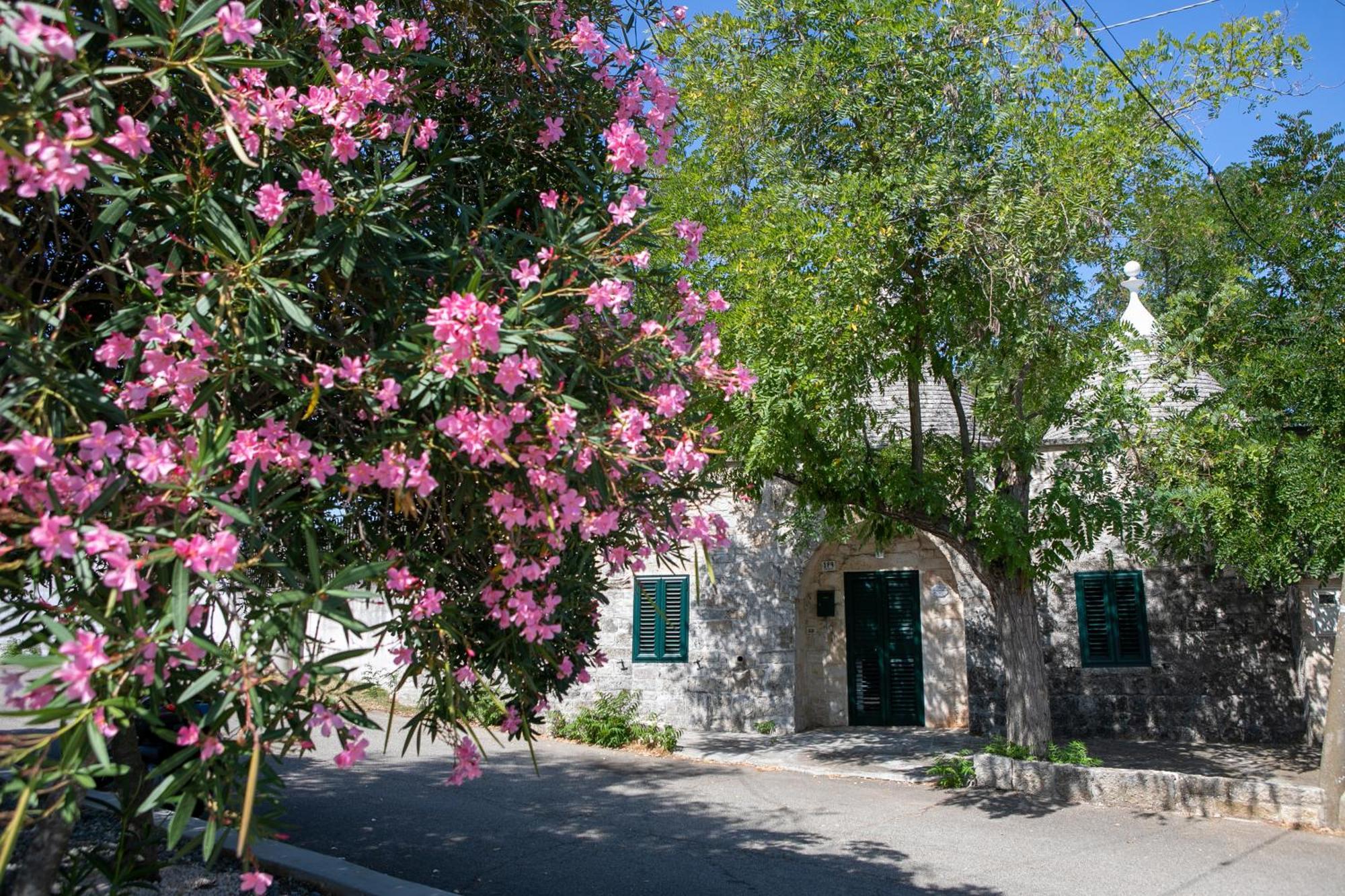 Angolo Di Puglia Locorotondo Luaran gambar