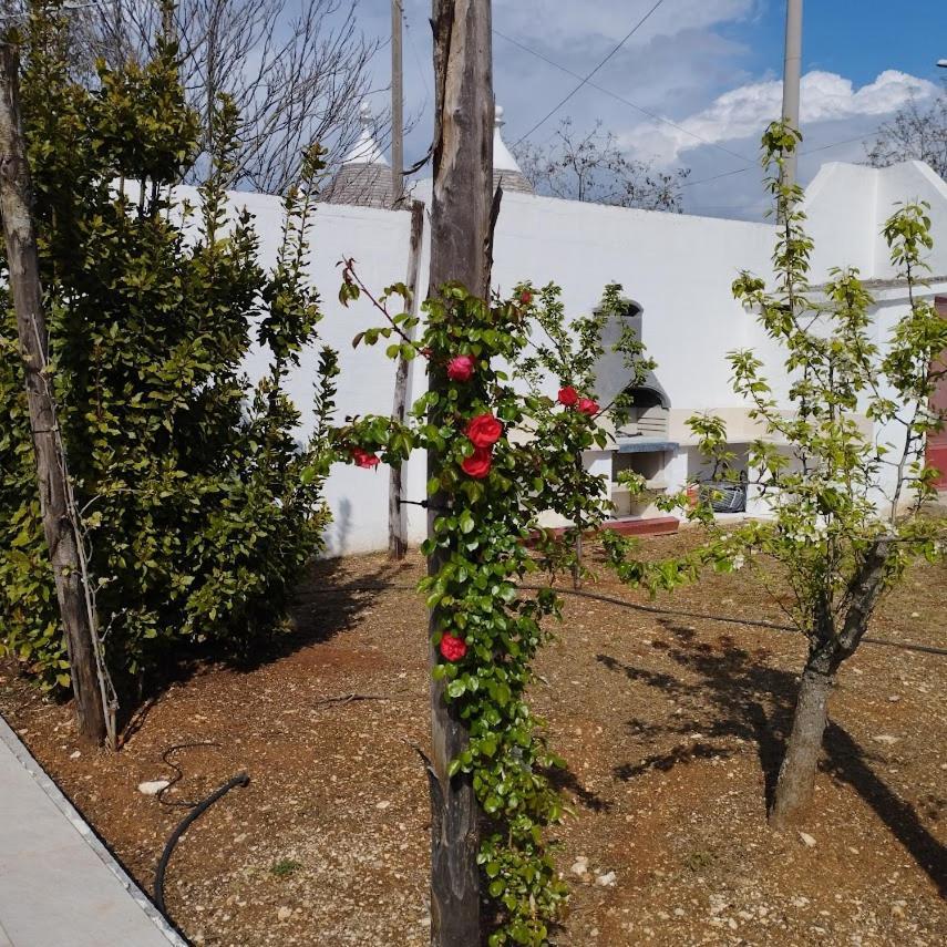 Angolo Di Puglia Locorotondo Luaran gambar